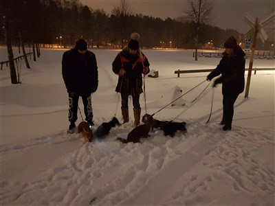 Samling inför en aktivitets promenad i snön