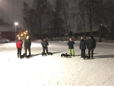 7 hundar och lika många människor trotsade snöfallet och träffades för aktiveringspromenad i Linköping ikväll måndag 5:e mars. Kul med nya och gamla bekantskaper! Hoppas att vi ses igen 